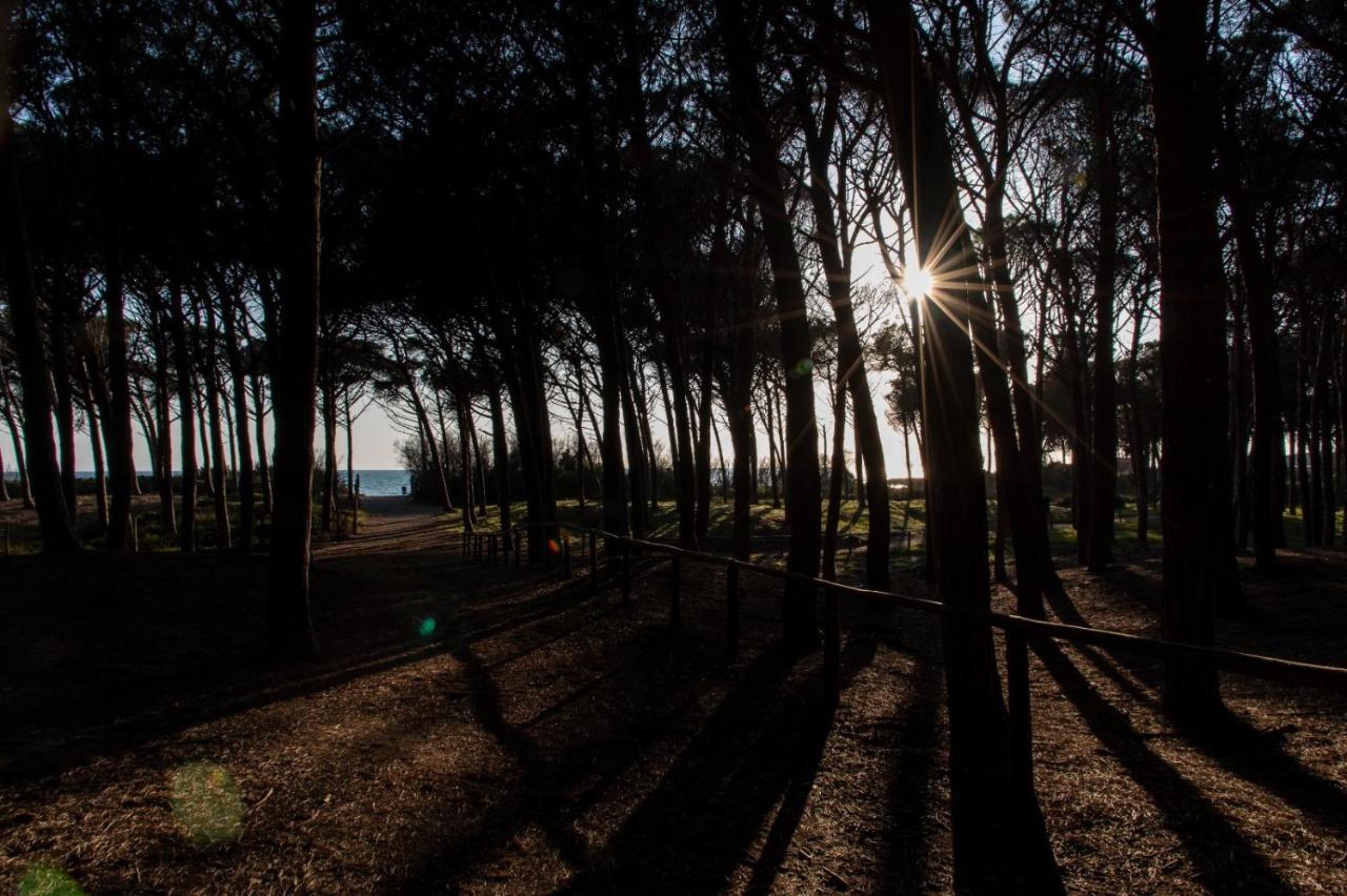Appartamento Il Bucaniere A Marina Di Cecina Εξωτερικό φωτογραφία